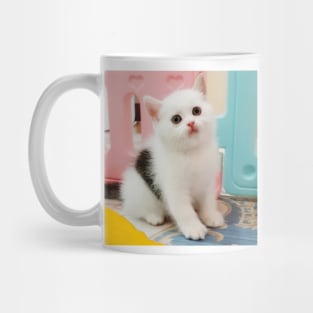 3 color cute cats Mug